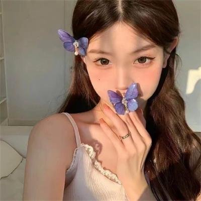凤舞龙翔